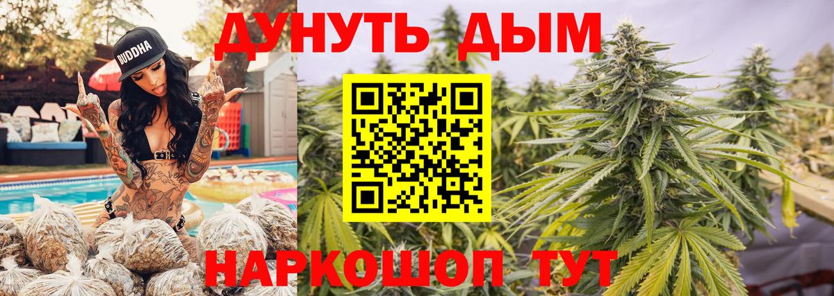 Бошки марихуана планчик  Марихуана план  Вход с VPN  Тверь  Шишки марихуана ГИДРОПОН 